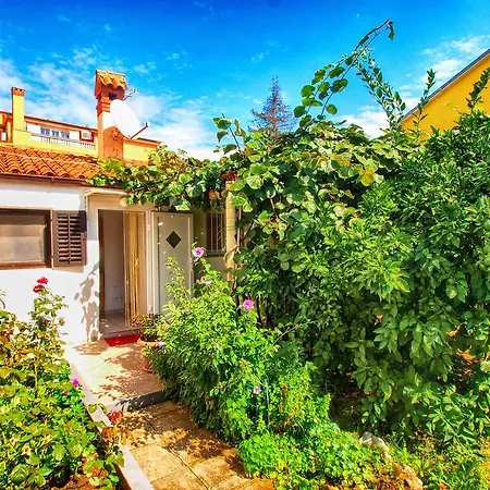 Brajdine 405 Διαμέρισμα