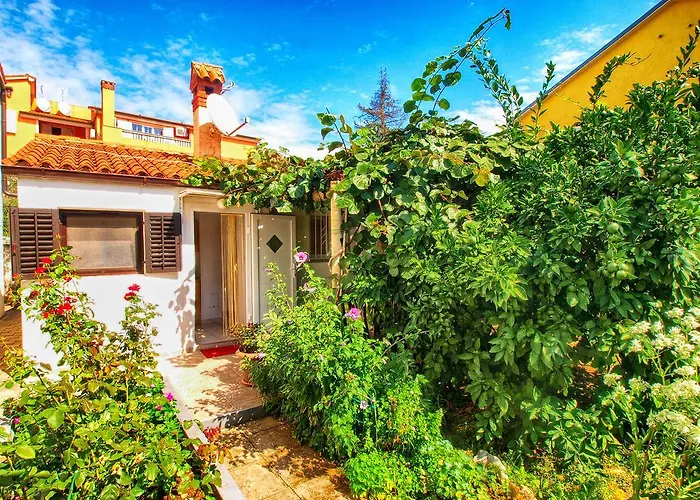 Brajdine 405 Apartament