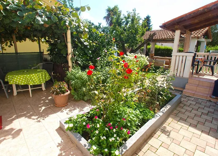 Apartament Brajdine 405 *