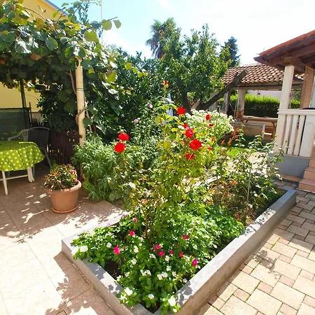 Apartment Brajdine 405 *