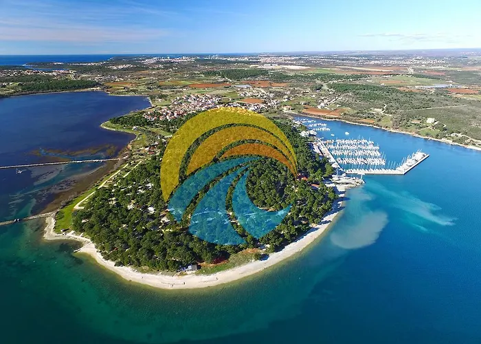 Brajdine 405 메덜린